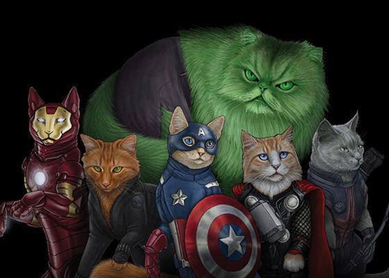 avengers cats